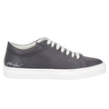 sneakers ea7 grigie