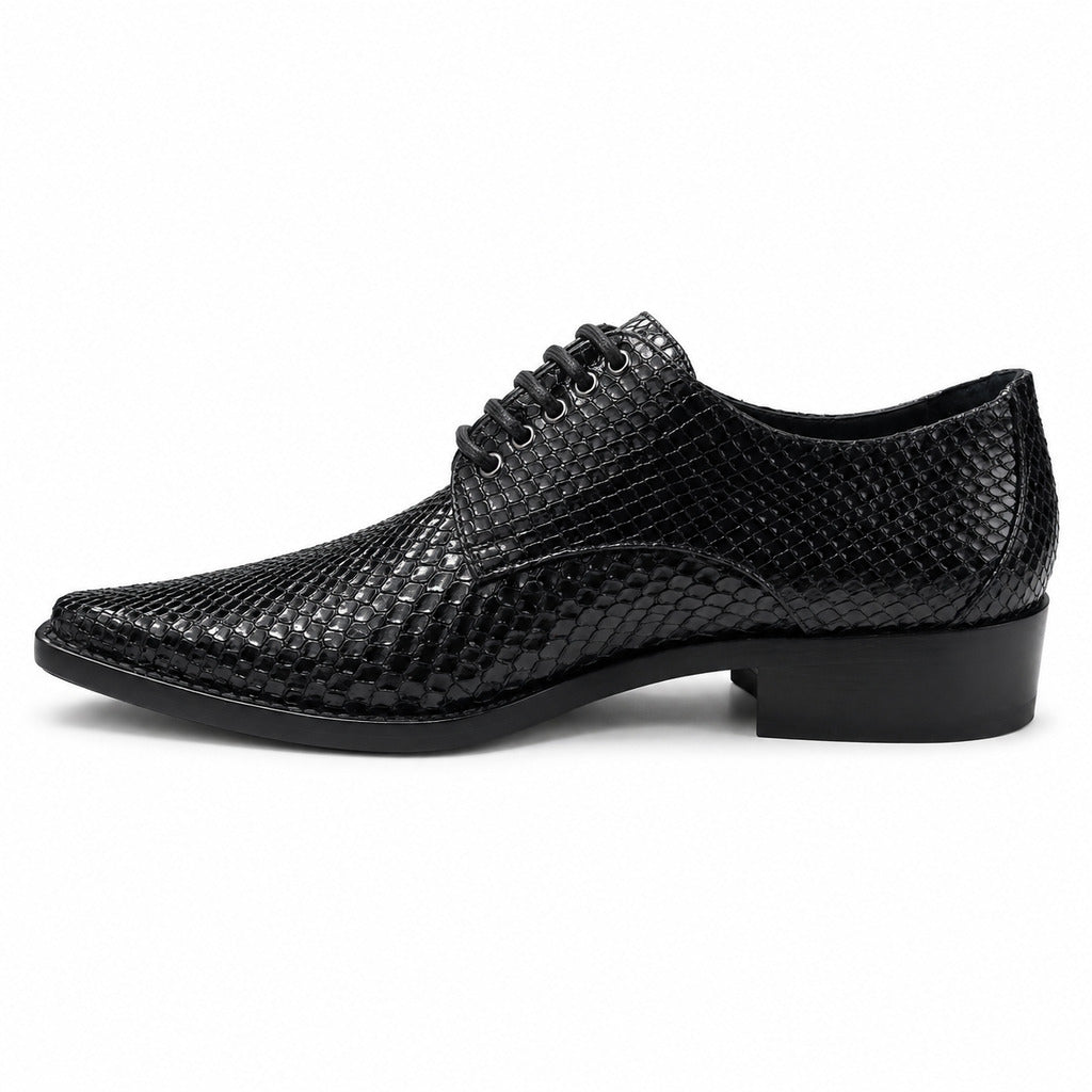 derby in pitone nero